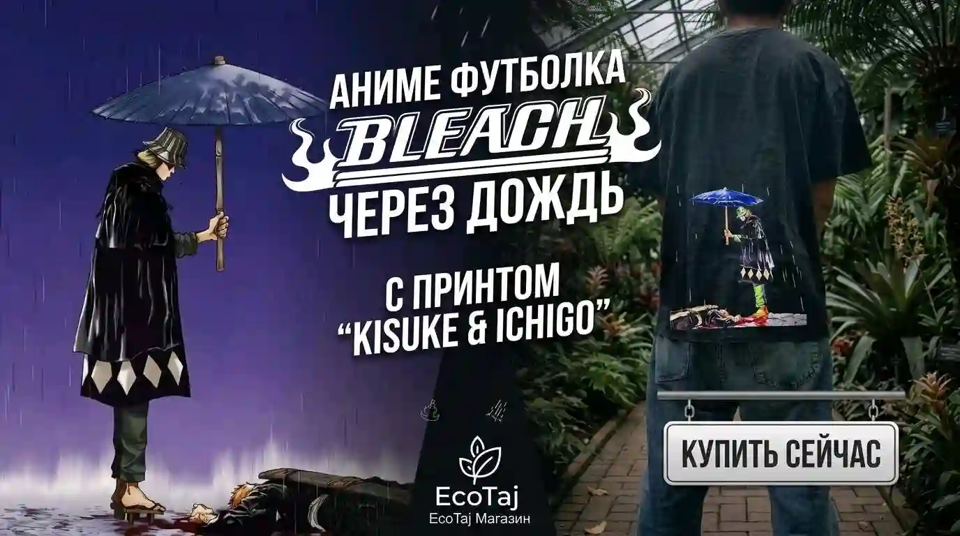 Футболка Урахара и Ичиго под дождём