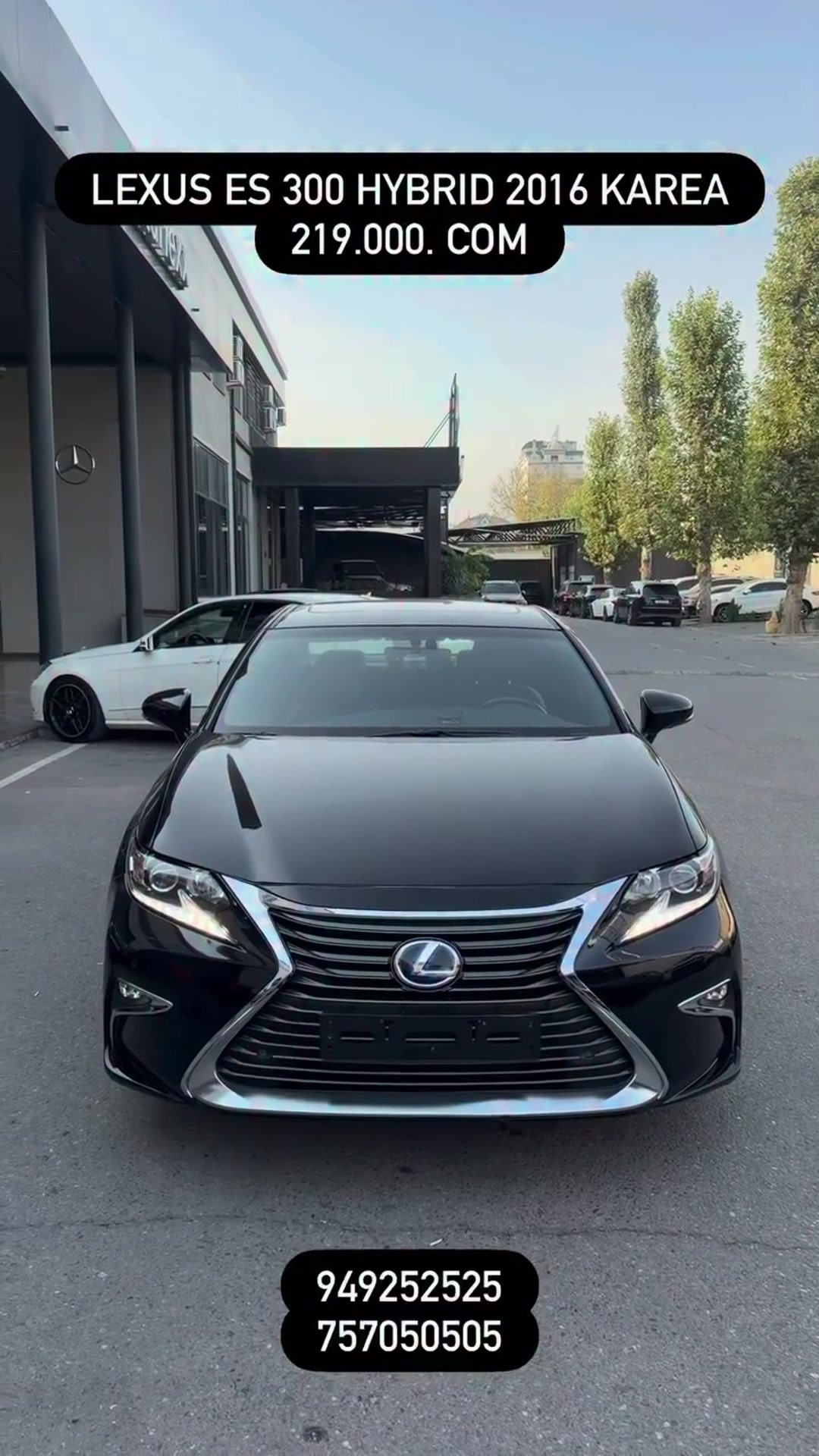 lexus es 300h