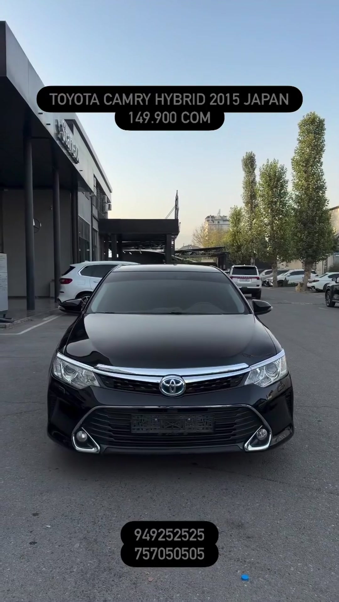 camry